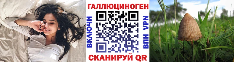 Псилоцибиновые грибы мухоморы  Лодейное Поле 